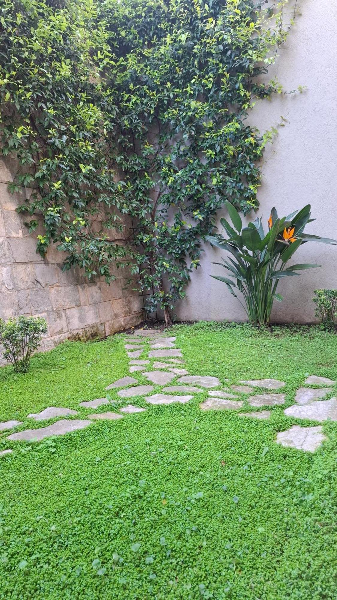 Apartman Stijepcic Herceg Novi Bagian luar foto