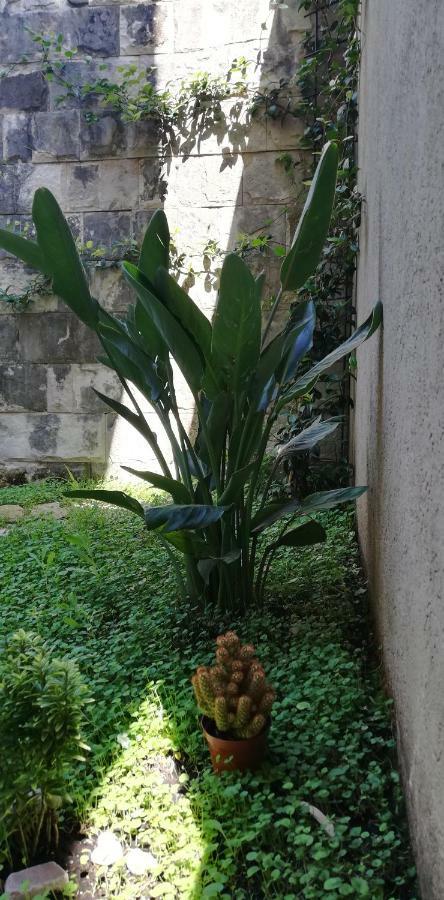 Apartman Stijepcic Herceg Novi Bagian luar foto